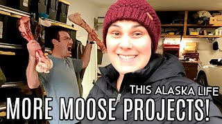 Alaska Fall Moose Processing 2.0 | Bone Broth & Corned Moose Meat