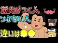 【ゆっくり解説】💪筋トレの成果が10倍変わる！筋肉がつきやすくなる科学的方法とは？