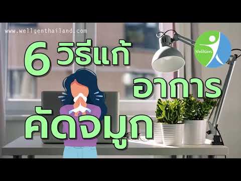 6วิธีแก้อาการคัดจมูกหายใจไม่ออก WELLGENTHAILAND.COM