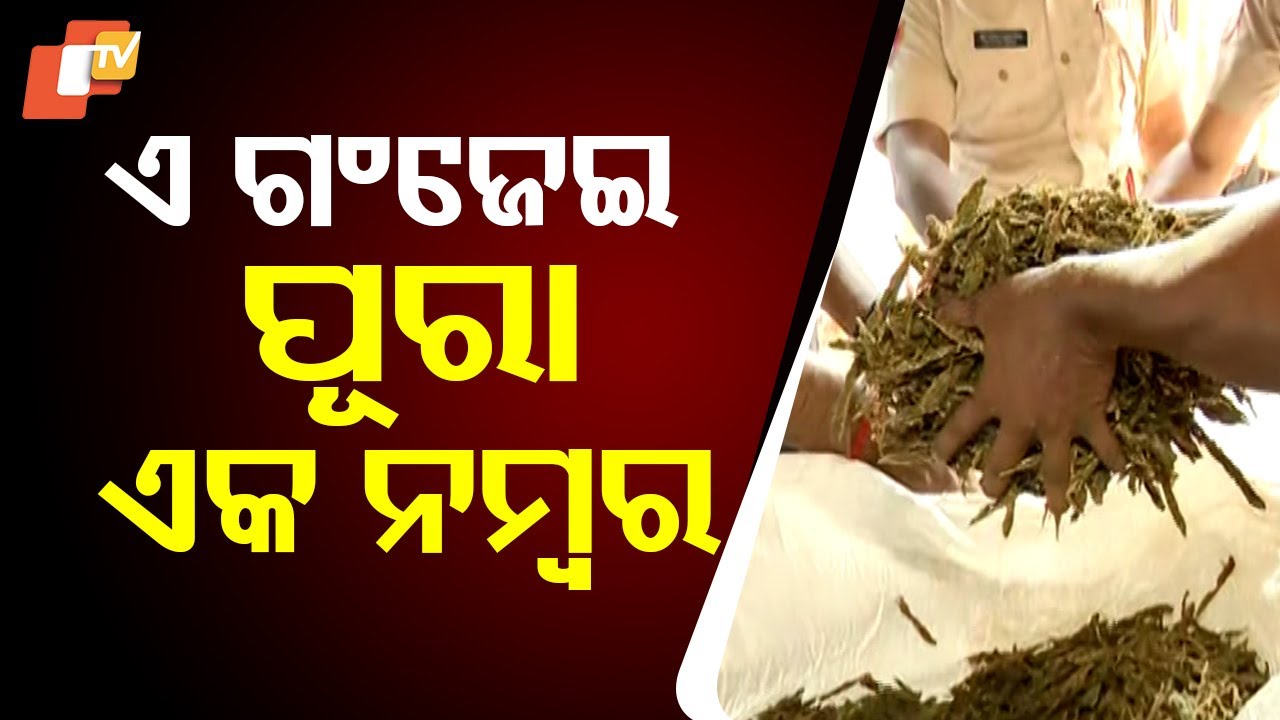 Commissionerate Police Seize ₹1 Crore Worth of Cannabis in Bhubaneswar's Khandagiri