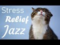  jazz for stress relief  relaxing therapeutic music to feel happy  joyful