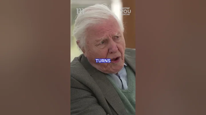 Sir David Attenborough says he's ‘nearing the end of his life’