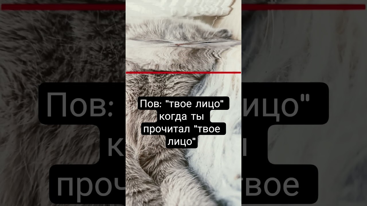 "оцил еовт" латичорп ыт адгок "оцил еовт" :воП