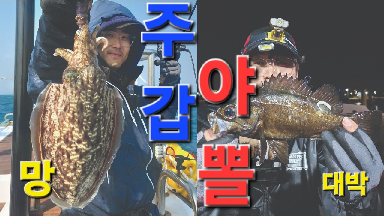수온13.5도 주간 갑오징어 야간 볼락 제주현지인의 낚시생활 이야기