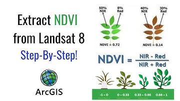 How to extract NDVI from Landsat 8 Satellite Imagery Data in ArcGIS?