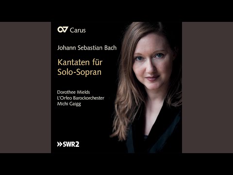 Mira J.S. Bach: Ich bin in mir vergnügt, Cantata BWV 204 - No. 6 "Meine Seele sei vergnügt" en YouTube Mira J.S. Bach: Ich bin in mir vergnügt, Cantata BWV 204 - No. 6 "Meine Seele sei vergnügt" en YouTube