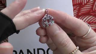 PANDORA 2025 BLACK FRIDAY Birthday /Anniversary Gifts 