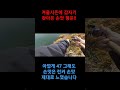 추운 겨울씨즌 런커급 손맛  보는 행운을ㆍㆍㆍ 런커 아닌게  아쉽지만 #배스낚시 #진주배스 #배스포인트