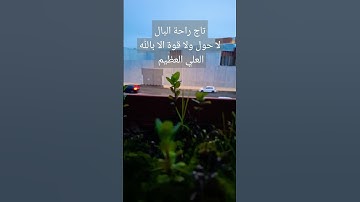 #راحة_نفسية #سورة_البقرة #قرآن #surahalbaqarah #قران_كريم #البقرة #سورة #tilawat #اكسبلور