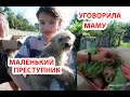 VLOG У нас появилась СОБАКА!!! И три ЩЕНКА