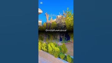 سورة الكهف 🤍 #القرآن_الكريم #اكسبلور #المصحف #دويتو #راحة_نفسية #اللهم_صل_وسلم_على_نبينا_محمد #لايك