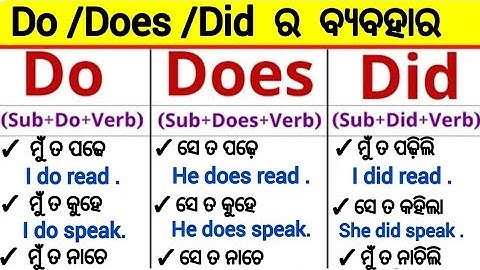 Do Does Did ର ସବୁତକ ବ୍ୟବହାର ଶିଖନ୍ତୁ / Helping Verbs Do Does Did In Odia / @odiaconnection