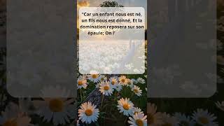 #jesuschrist #temoignagechretien #bibleversets #amourdechrist #redemption #salutt #vérité #foi