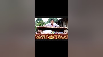 Capybara bị Trọc đổ lỗi mua giường cho bố và cái kết ❤️ #capybara #capyquantai #capyvabo #capygiuong