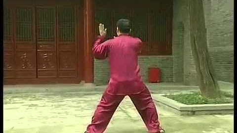 陳氏太極拳老架一路全套背面演練 ---- 張東武