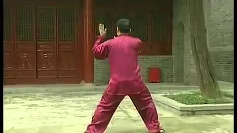 陈氏太极拳老架一路全套背面演练 ---- 张东武 - 天天要闻
