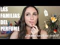 🤓CULTURILLA PERFUMIL: las FAMILIAS del perfume  |Smarties Reviews