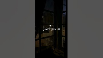 سورة يوسف _ عبدالرحمن مسعد #راحة_نفسية