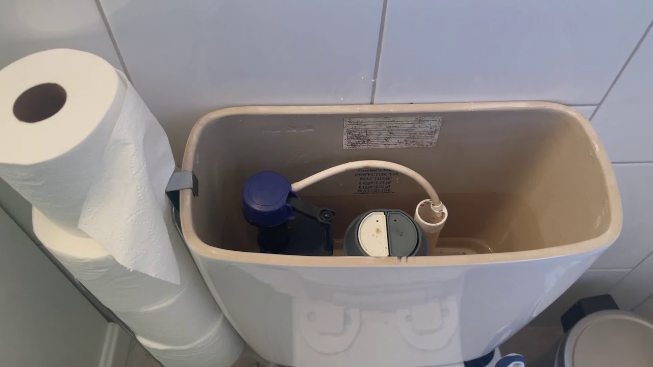 Removing dual flush canister from Member's Mark/Sam's Club dual flush