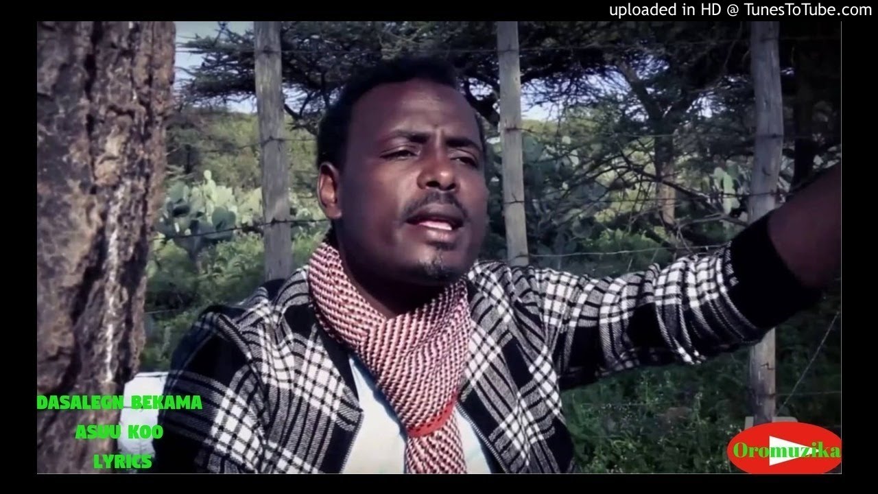 NEW 2018 Oromo Music Dasalegn Bekkamaa Asuu koo lyrics