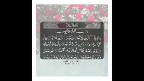 سورة الزلزلة بصوت القارئ انس شهاب