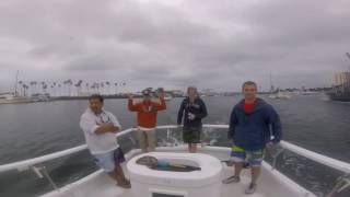 Yellowtail Fishing Adventures Aboard The Wanu! San Diego