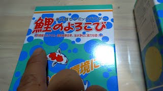 鯉のよろこびを入れて１２０センチ水槽の錦鯉を元気にさせる！！！