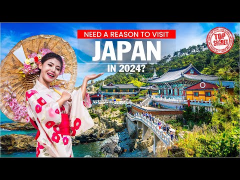 Why Japan is the Best Travel Destination in 2024