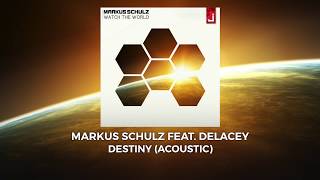 Обложка Markus Schulz Feat Delacey Destiny Acoustic Скачать Markus Schulz Feat Delacey Destiny Acoustic