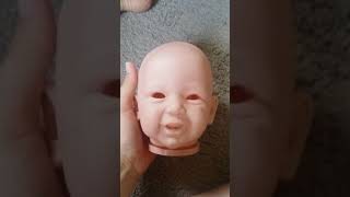 Box Opening Of Phoenix Kit By Andrea Arcello