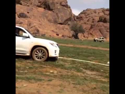 تصوير ابوخليل