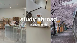daily life in korea  | cherry blossoms, exploring more prop stores