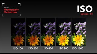 Episode 3 - Unlocking ISO | Xiaomi Photography Masterclass