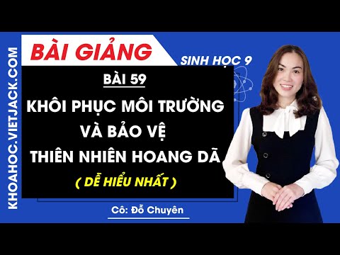 Video: Ví Dụ Về 