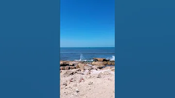 شوف الروعة و الجمال ببورسعيد 