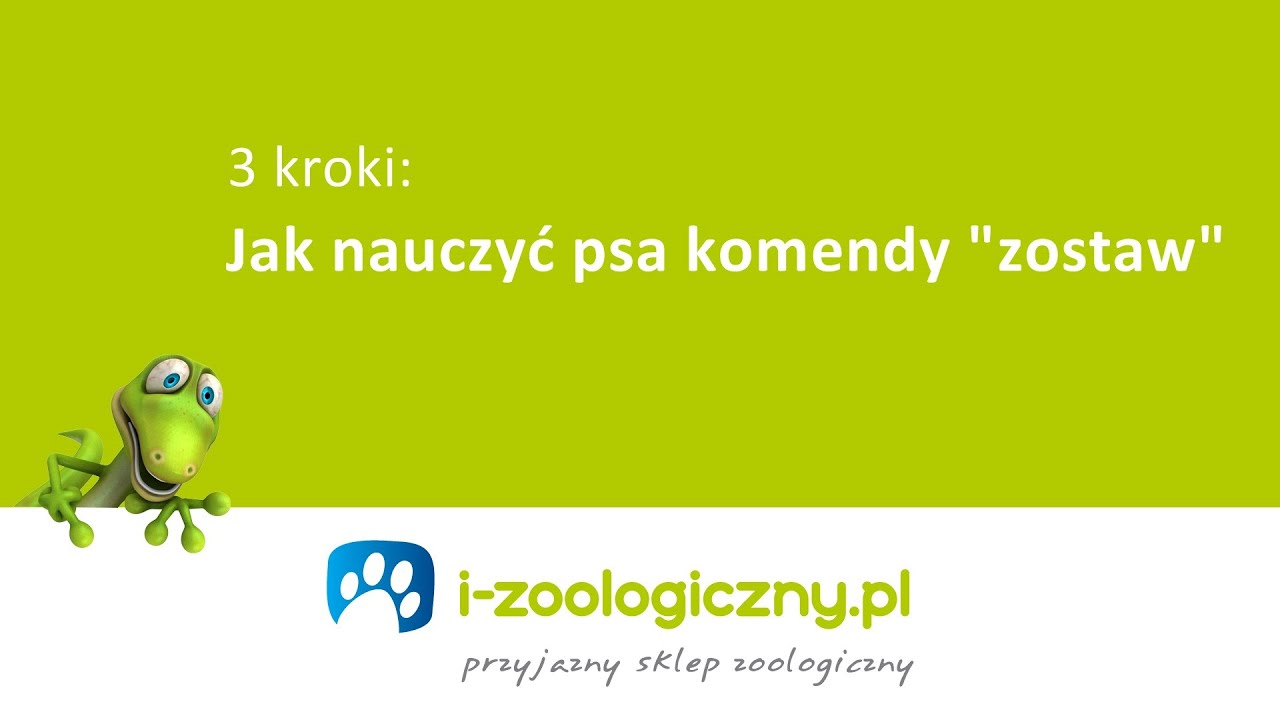 Jak Nauczyć Psa Komendy Zostaw