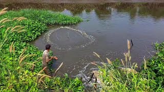 Hành Trình Đi Chài Tìm Cá Lớn Fishermen Look For Big Fish