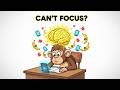 Why You Can’t Focus Anymore and How to Fix It