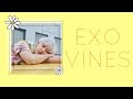 EXO vines that go up and down like a roller coaster