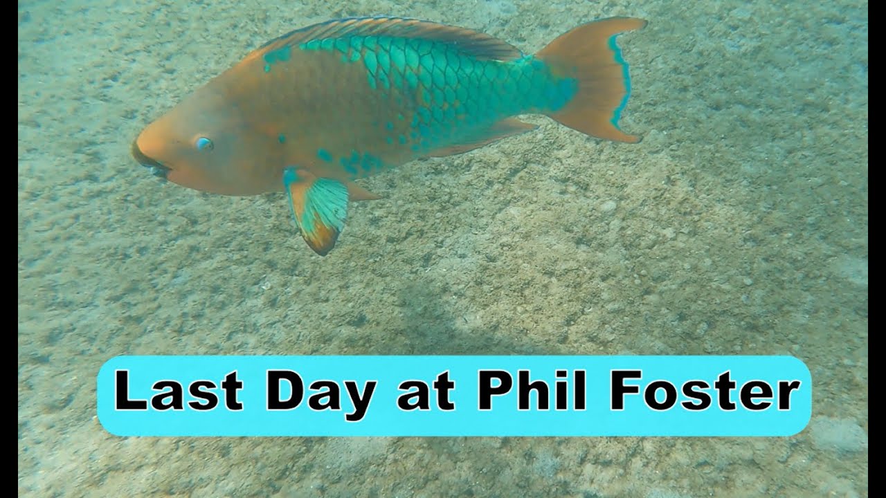 Our Last Day of Filming while Snorkeling Phil Foster, Riviera Beach, Florida!!