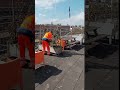 Bloemen en planten poten | Bloembakken | Dakterras | Stadhuis Assen #short #shorts #assen #gemeente