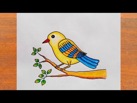 कार्टून हाथ खींची हुई टहनी चिड़िया | ग्राफिक तत्व टेम्पलेट PSD मुफ्त  डाउनलोड - Pikbest