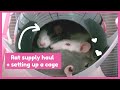 Rat supply Haul 🐀 | Setting up a rat cage ✨ ♡