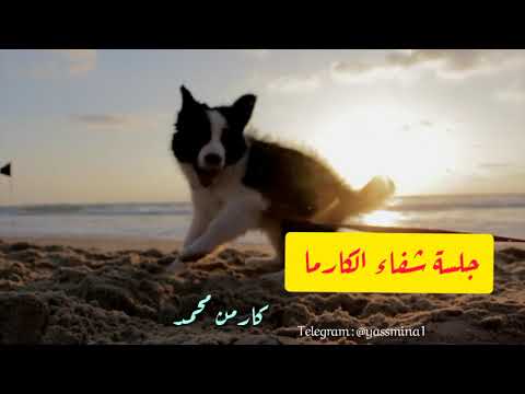 جلسة شفاء و تحرير الكارما الكارما