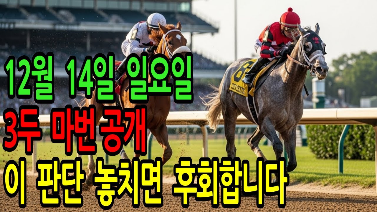 12월 14일 일요일 경마~“초고배당 신호 지금입니다,  놓치면 후회합니다.”ㅣ승전경마 전문가의 이변 포착 l 경마 l 경마예상 l 코리아레이스 l 검빛경마 ㅣ경마정보