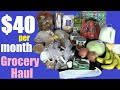 $40 Per Month / $10 Per Week Groceries (No Processed Food!)