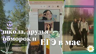 друзья, школа, обморок и егэ в мае || майский влог