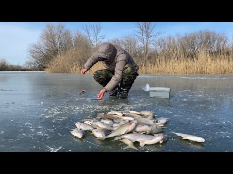 КРУПНАЯ ГУСТЕРА (БОРА) НА ПРОСТУЮ ДОНКУ. ОЧЕРЕДНОЙ "ПЕРВЫЙ" ЛЁД В АСТРАХАНИ. ЭТО ПРОСТО НЕЧТО!