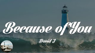 David J - Because of You (Lyrics)