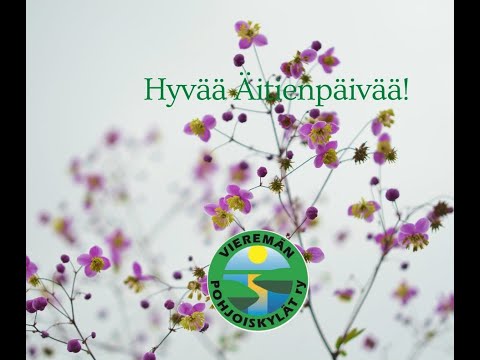 Video: Mikä Sisäkukka Antaa äidille